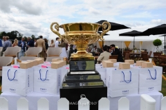 King Power Gold Cup final at Cowdray Park Polo Club, 21/07/2019 - Dubai vs King Power - © www.imagesofpolo.com
