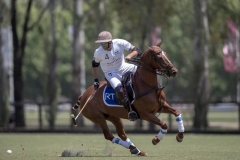 Partidos-Thai-Polo-2