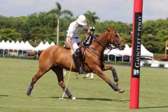 STEWART ARMSTRONG_ASPEN