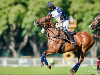 Argentine-Open-Day-9-2018