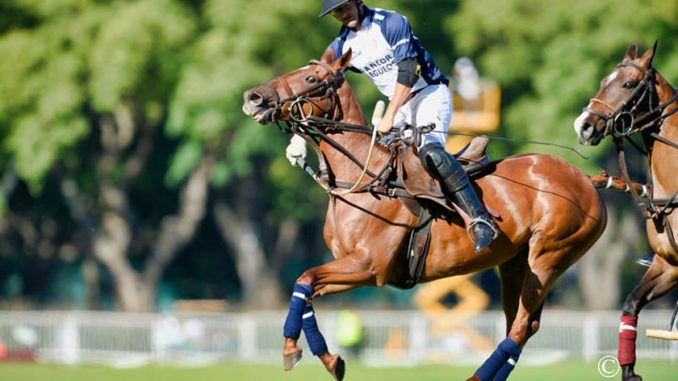 Argentine-Open-Day-9-2018