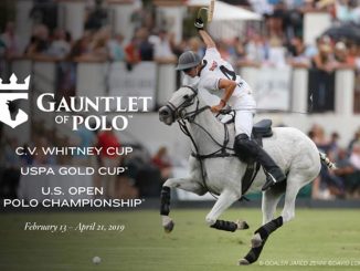 rosters-confirmed-for-2019-gauntlet-of-polo